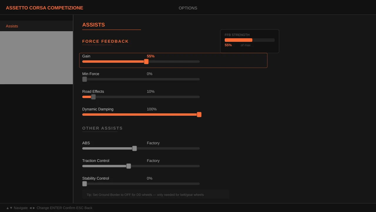 Screenshot of ACC Options menu showing FFB settings panel with Gain slider at 55%